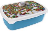 Broodtrommel Blauw - Lunchbox - Brooddoos - Hamster tussen het kleurrijke snoep - 18x12x6 cm - Kinderen - Jongen