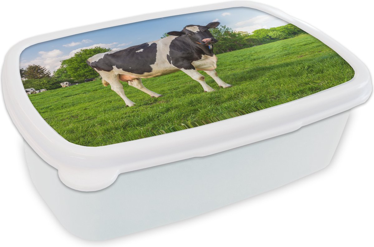 Broodtrommel Wit - Lunchbox - Brooddoos - Koe - Gras - Dieren - 18x12x6 cm - Volwassenen