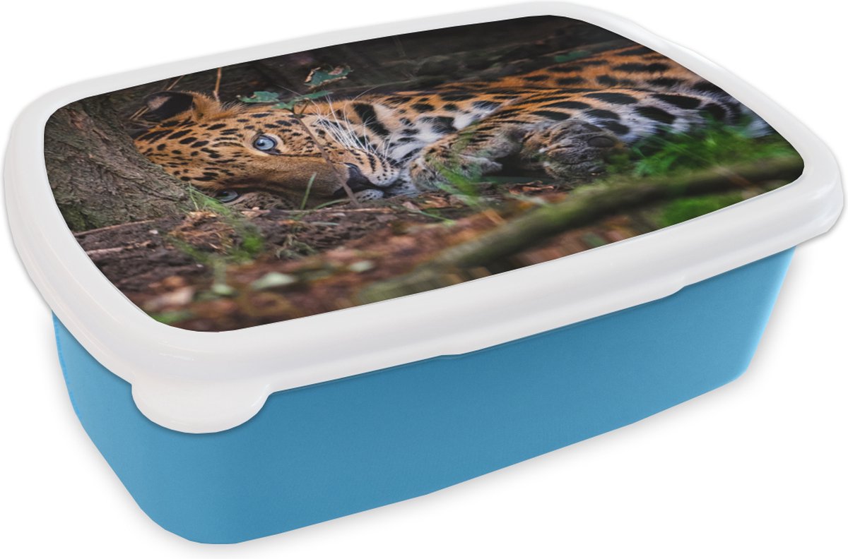 Broodtrommel Blauw - Lunchbox - Brooddoos - Panter - Boom - Jungle - 18x12x6 cm - Kinderen - Jongen