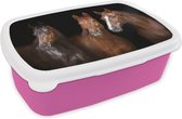 Broodtrommel Roze - Lunchbox Paarden - Dieren - Zwart - Portret - Brooddoos 18x12x6 cm - Brood lunch box - Broodtrommels voor kinderen en volwassenen