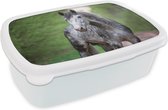 Broodtrommel Wit - Lunchbox Paard - Bos - Portret - Brooddoos 18x12x6 cm - Brood lunch box - Broodtrommels voor kinderen en volwassenen