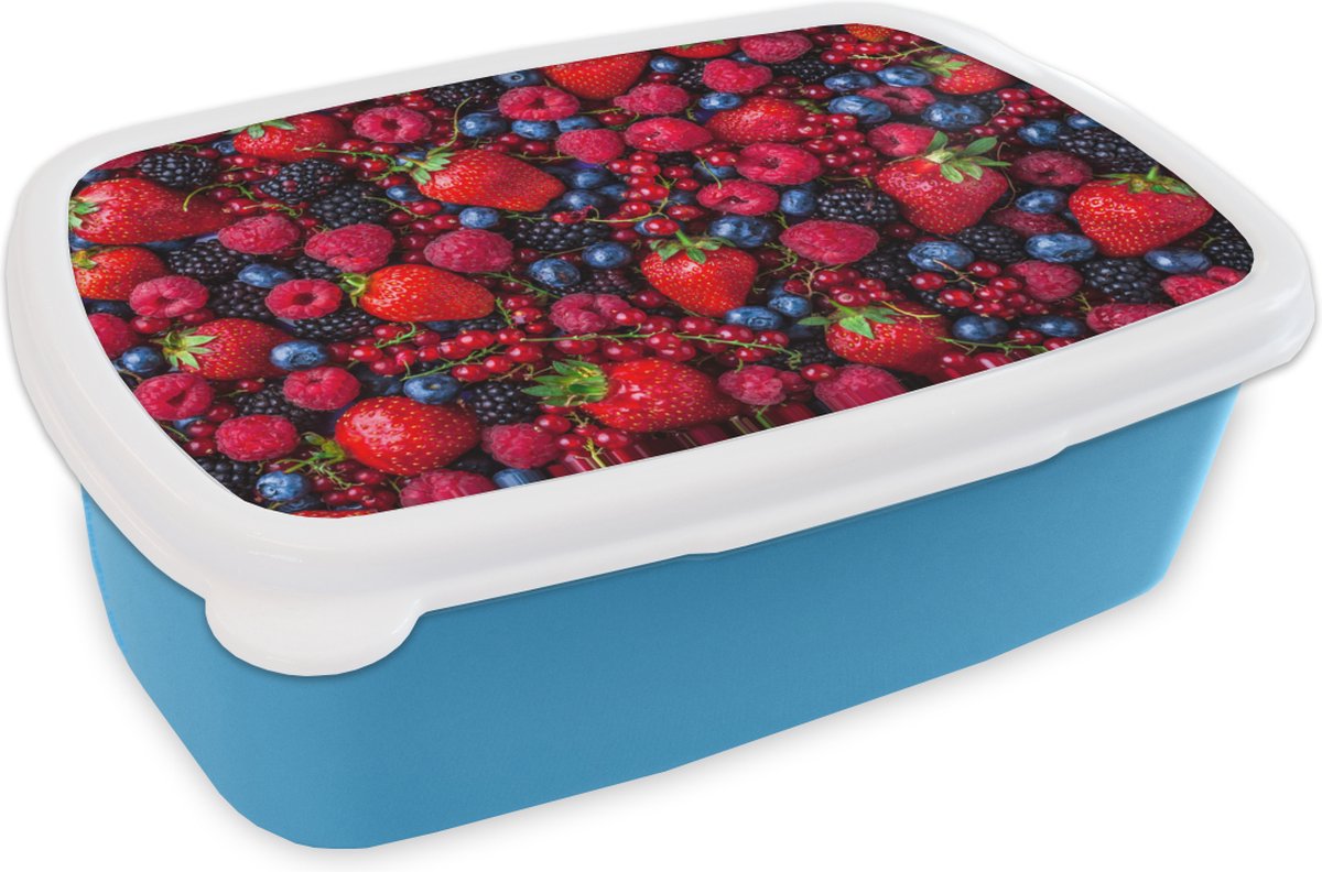 Broodtrommel Blauw - Lunchbox - Brooddoos - Fruit - Bos - Aardbei - 18x12x6 cm - Kinderen - Jongen