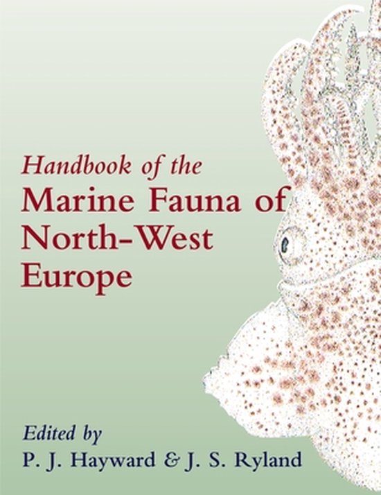 Manuel de la Faune Marine du Nord-Ouest de l'Europe. Avec une illustration d'un calmar.