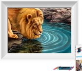 Artstudioclub®  Diamond painting volwassenen 30x20 cm Leeuwen