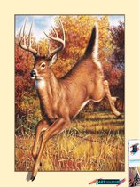 Artstudioclub®  Diamond painting volwassenen antilope 35 x 45 cm