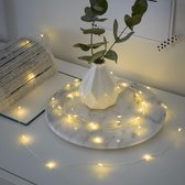 Draad verlichting - Zomerverlichting - Kerstverlichting - 80 leds - Op batterij - Zilverdraad - Lichtslang - 105cm - Lichtsnoer - Indoor - Sfeerverlichting -
