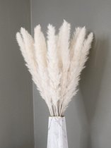 Pampas Pluimen Wit – Natuurlijke Tint - 40 stuks – Pampas Gras – 70 cm – Droogbloemen – Cortaderia – Droogbloemen Boeket – Pampasgras - Decoratie