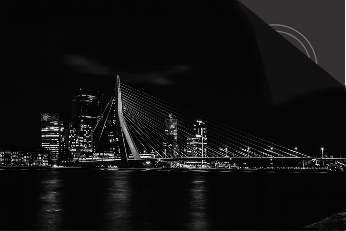 Inductie Beschermer Rotterdam Erasmus print Exclusief 76x51,5cm