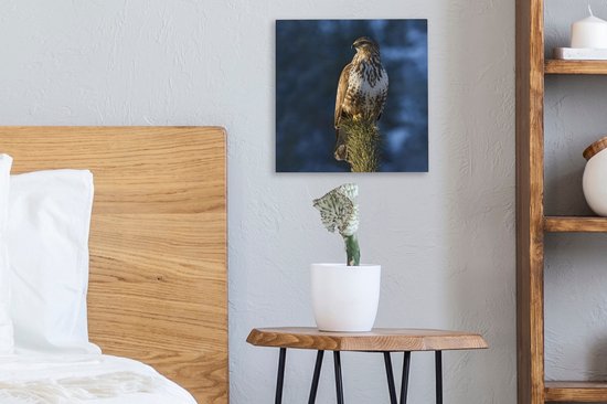 Une buse est assise sur une branche de pin et donne sur les paysages du Tyrol Toile 20x20 cm - petit - Tirage photo sur toile (Décoration murale salon / chambre)