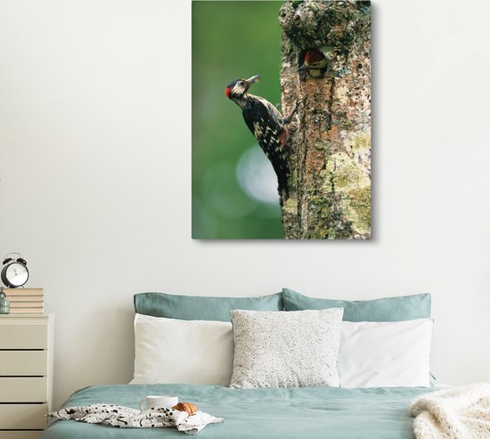 Un grand pic tacheté à son nid au Japon Toile 120x160 cm - Tirage photo sur Toile (Décoration murale salon / chambre) XXL / Groot format!