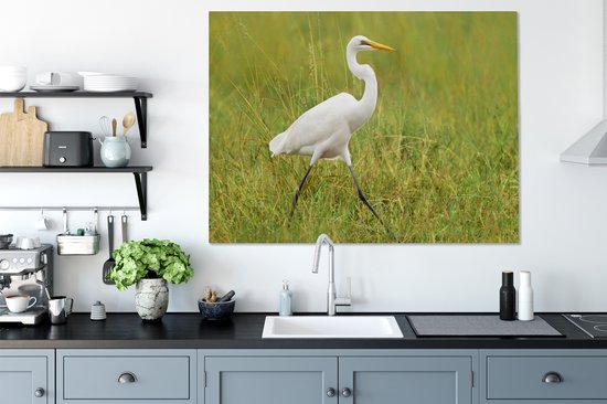 Tableau sur toile Grande aigrette marchant dans une pelouse - 120x90 cm - Décoration murale