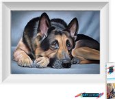 Artstudioclub®  Diamond painting volwassenen 25x25 cm Hond