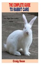 The Complete Guide to Rabbit Care