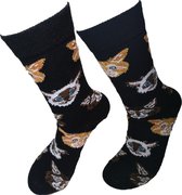 Verjaardag cadeautje voor hem en haar -katten sokken - Poezen sokken - Leuke sokken - Vrolijke sokken - Luckyday Socks - Sokken met tekst - Aparte Sokken - Socks waar je Happy van