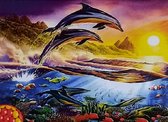 Denza - Diamond painting dolfijn met zonsondergang 40 x 50 cm volledige bedrukking ronde steentjes direct leverbaar - dolfin - dolfijnen - oceaan - vissen - bergen - zee - zeer moo