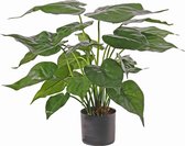 Dwerg olifantsoor - Alocasia - cucullate - kunstplant - 24 bladeren - 45cm - Ø 50cm