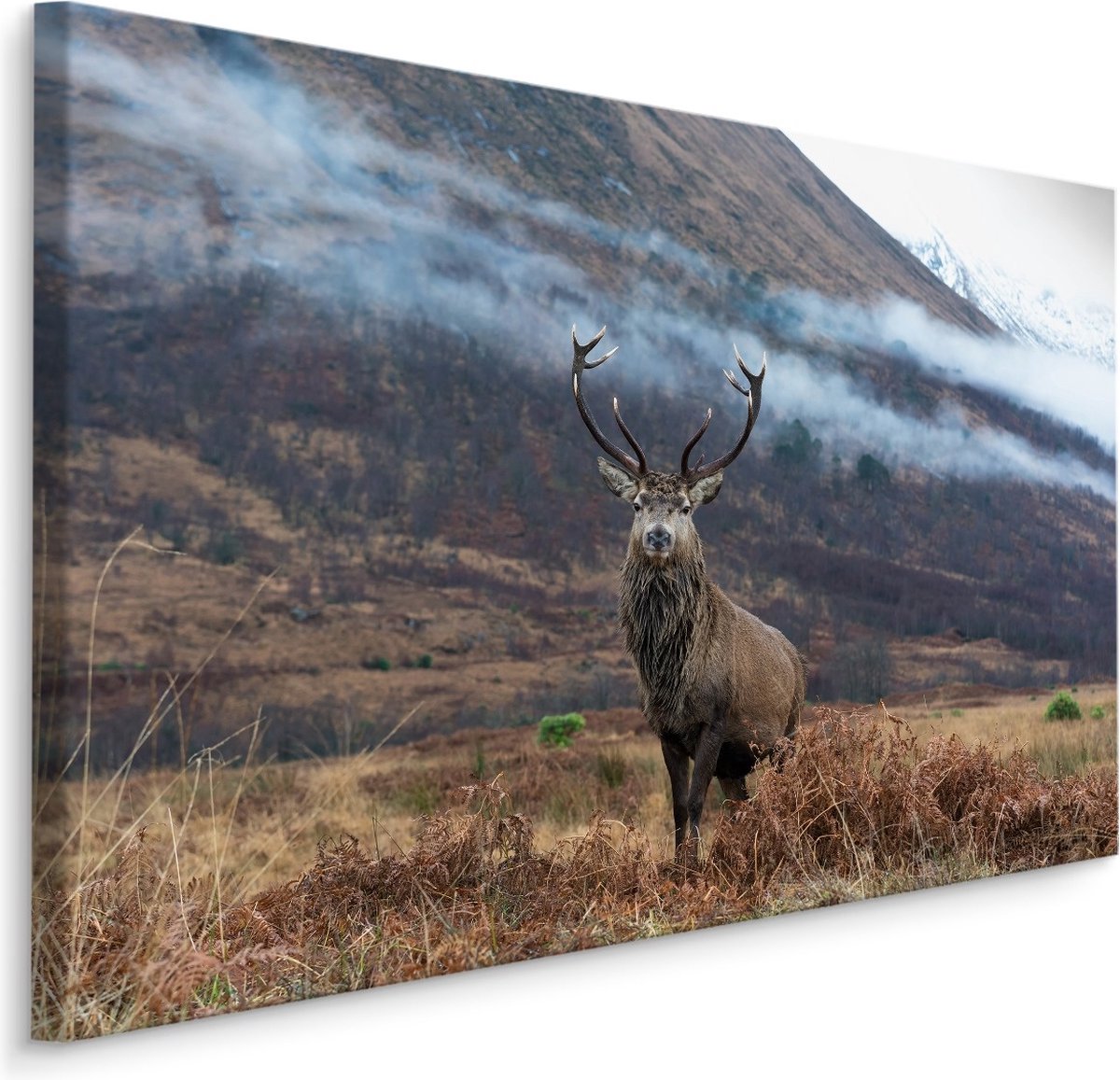 karo-art Schilderij - Hert in de Bergen, premium Print Multikleur