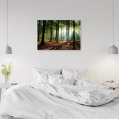 Trend24 - Canvas Schilderij - Bos Bij Zonsopkomst - Schilderijen - Natuur - 120x80x2 cm - Groen
