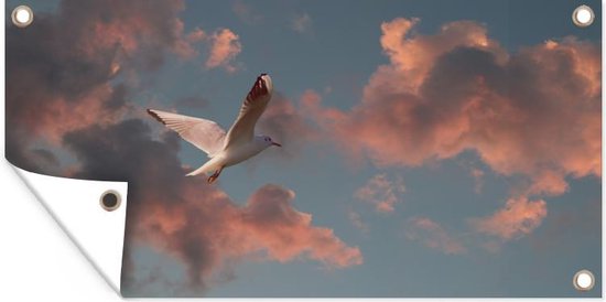 Tuinposter Meeuw - Zon - Wolken - 80x40 cm - Wanddecoratie Buiten - Tuinposter - Tuindoek - Schuttingposter - Tuinschilderij