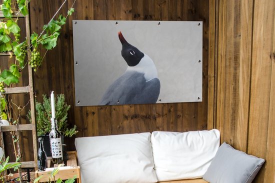 Poster Jardin mouette souriante 120x80 cm - Toile de jardin / Toile d'extérieur / Peintures d'extérieur (décoration de jardin)