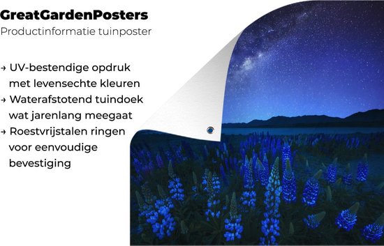 Affiche de Jardin Ciel étoilé - Voie lactée - Fleurs - 200x200 cm