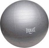 Everlast Anti-Burst Gymbal - Grijs - 45 cm