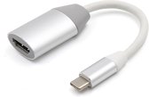 USB-C naar HDMI Adapter - 4K - USB-C Hub - HD kwaliteit - Zilver