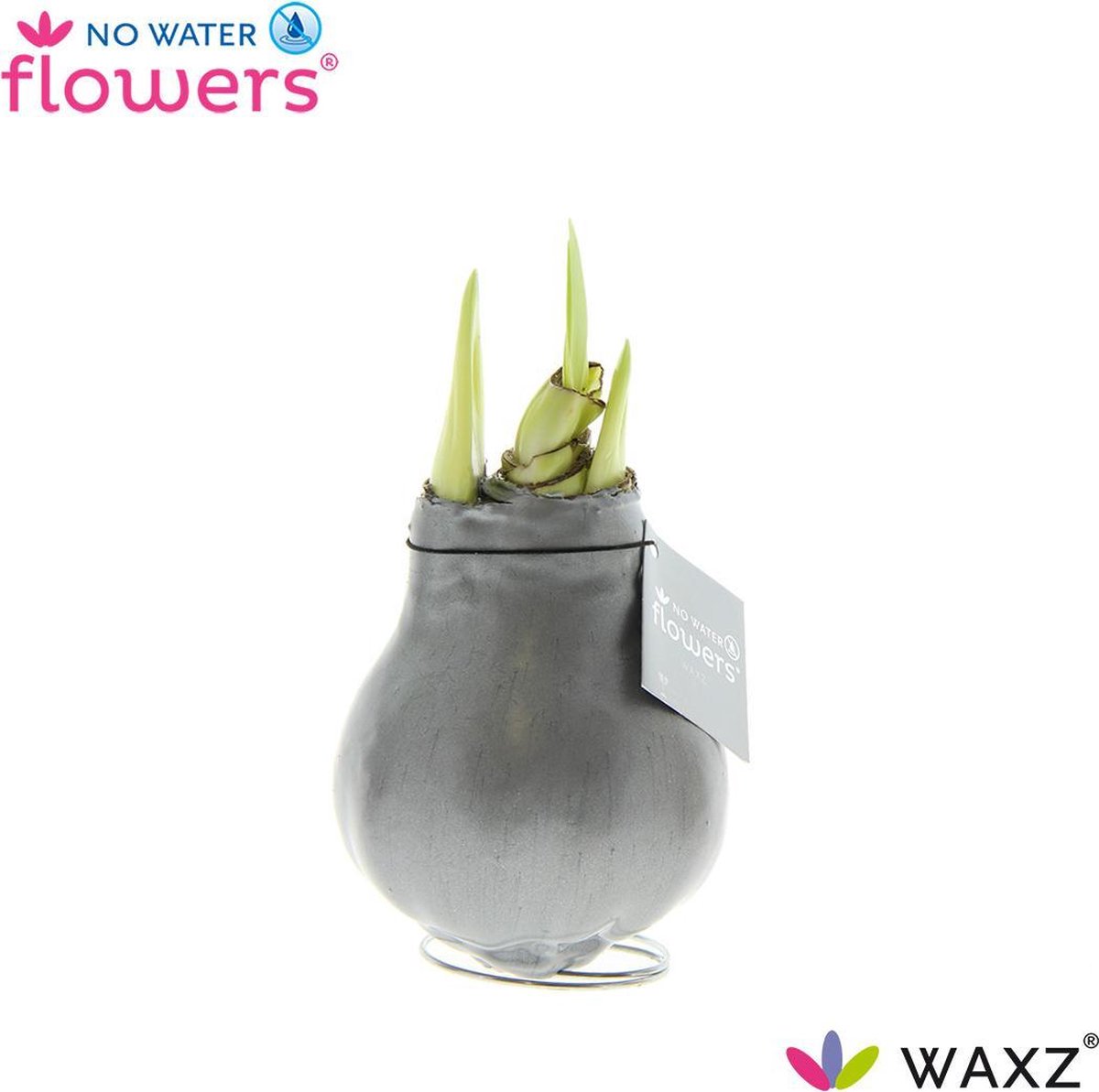 No Water Flowers® Waxz® Zilver