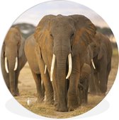 Cercle mural - Cercle mural - ⌀ 60 cm - Plastique - Éléphant - Herbe - Grijs