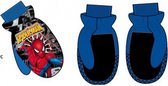 Blauwe handschoenen - wanten van Spiderman 4/8 jaar