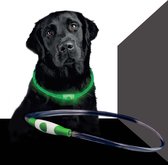 Led Dog Band USB | BEE SAFE -GREEN- | Dier verlichting | Hondenband LED
