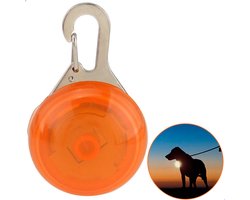 Professor Q - Verlichting Hond - Led Lampje Honden - Lampje Hondenhalsband - Honden Lampje Halsband - Hondenlampje - Oranje