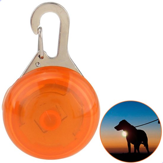 Professor Q - Verlichting Hond - Led Lampje Honden - Lampje Hondenhalsband - Honden Lampje Halsband - Hondenlampje - Oranje