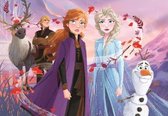 legpuzzel Frozen II karton junior 15 stukjes