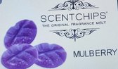 scentchips mulberry