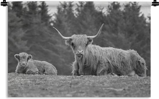 Wandkleed - Wanddoek - Een moeder en kalf Schotse hooglander - zwart wit - 60x40 cm - Wandtapijt
