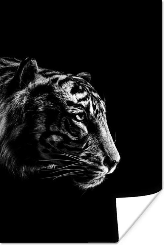 Poster Kop van een tijger op een zwarte achtergrond - zwart wit