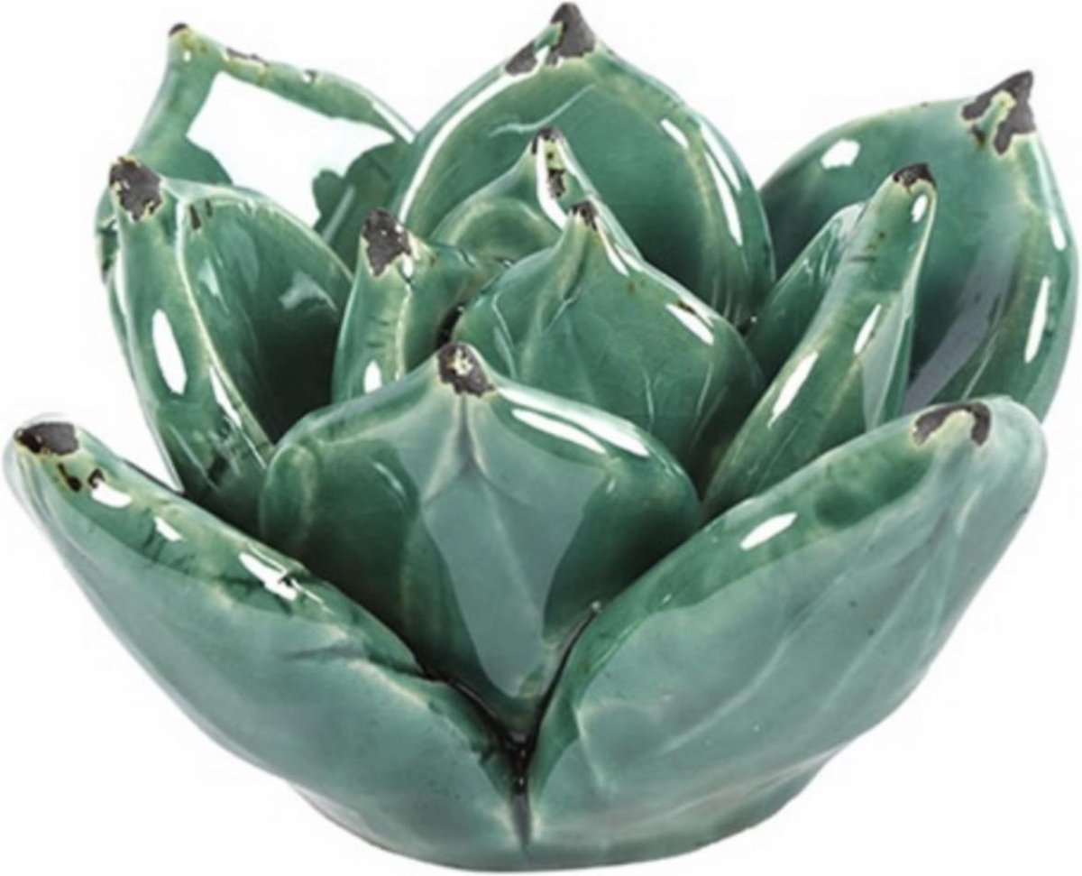 Countryfield - Deco - succulent - Josie - L - groen - L9,5B9,5H6CM