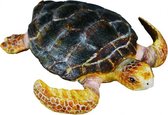 Zeedieren Schildpad 7 X 1 cm