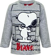 Snoopy baby shirt / longsleeve, grijs, maat 67 ( 6 maanden)