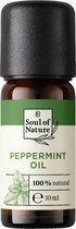 LR Soul of Nature Pepermunt Olie - aromatherapie - kamergeur