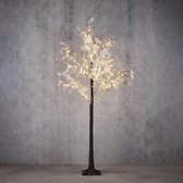 Luca Lighting - Boom bloem bruin frosted klassiek wit 180led IP 44 timer - h180xd80cm - Woonaccessoires en seizoensgebondendecoratie  (Europese stekker )
