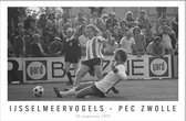 Walljar - Ijsselmeervogels - PEC Zwolle '73 - Zwart wit poster met lijst