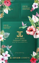JAYJUN Anti Dust Therapy Mask 1pc