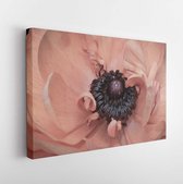 Canvas schilderij - İsolated single pastel pink buttercup blossom heart macro, fine art still life color close-up of the inner center with detailed texture   -     1386477881 - 50*