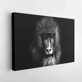 Canvas schilderij - Closeup portrait of a baboon with yellow eyes -     1250103763 - 115*75 Horizontal