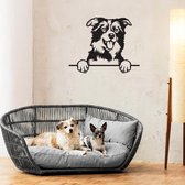 Hond - Border Collie - Honden - Wanddecoratie - Zwart - Muurdecoratie - Hout