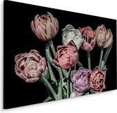 Schilderij - Tulpen in pastelkleuren, 4 maten, premium print