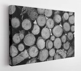 Canvas schilderij - Wood texture with a lot of logs. Grayscale photo of a lot of logs  -     1006754656 - 50*40 Horizontal