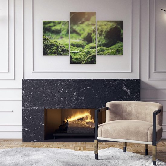 Artaza - Triptyque de peinture sur toile - Mousse verte recouverte de pierres - 90x60 - Photo sur toile - Impression sur toile